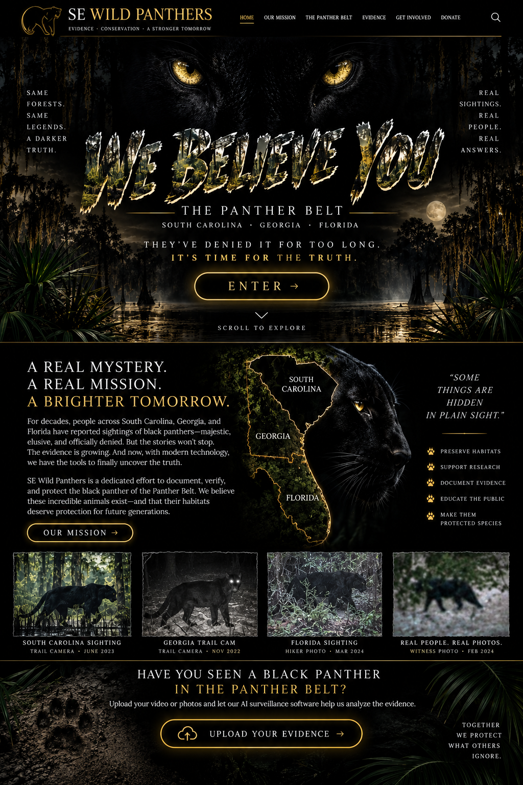 SE Wild Panthers Panther Belt campaign artwork